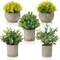 5 Pack Small Potted Artificial Plants with Eucalyptus & Greenery in Cement Pots – Faux Indoor Plants for Shelf, Desk, Bathroom, Office, Table & Modern Farmhouse Home Decor